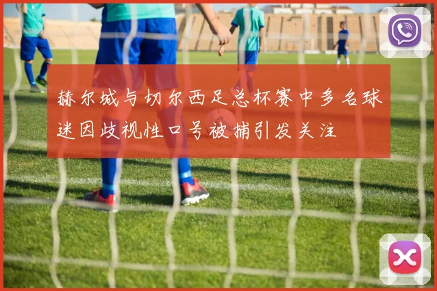 赫尔城与切尔西足总杯赛中多名球迷因歧视性口号被捕引发关注