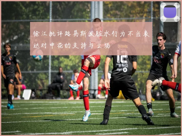 徐江批评路易斯泼脏水行为不当表达对申花的支持与立场