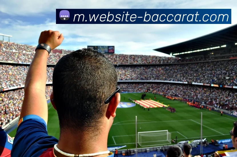 百家乐网站平台生态图