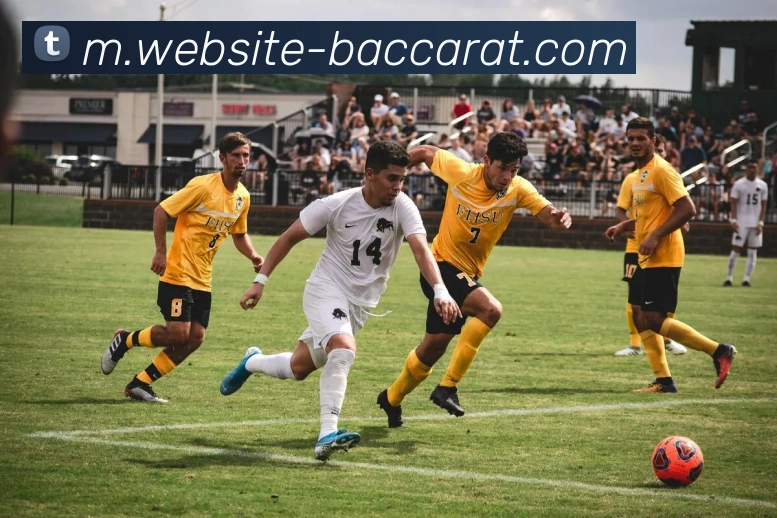 百家乐网站全站App